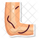 پیش‌نمایش فایل articulation-10642453 از پک کالبدشناسی انسان