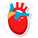 پیش‌نمایش فایل cardiac-organ-10642456 از پک کالبدشناسی انسان