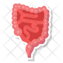 پیش‌نمایش فایل digestive-organ-10642459 از پک کالبدشناسی انسان