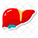 پیش‌نمایش فایل hepatic-organ-10642460 از پک کالبدشناسی انسان