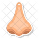 پیش‌نمایش فایل olfactory-organ-10642467 از پک کالبدشناسی انسان