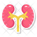 پیش‌نمایش فایل renal-organ-10642447 از پک کالبدشناسی انسان