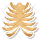 پیش‌نمایش فایل rib-cage-10642448 از پک کالبدشناسی انسان