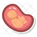 پیش‌نمایش فایل uterus-10642449 از پک کالبدشناسی انسان