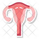 پیش‌نمایش فایل womb-10642451 از پک کالبدشناسی انسان