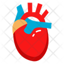 پیش‌نمایش فایل cardiac-organ-10642334 از پک کالبدشناسی انسان