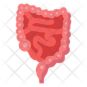 پیش‌نمایش فایل digestive-organ-10642337 از پک کالبدشناسی انسان