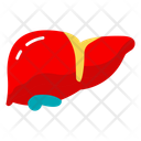 پیش‌نمایش فایل hepatic-organ-10642338 از پک کالبدشناسی انسان