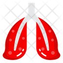 پیش‌نمایش فایل pulmonary-organs-10642324 از پک کالبدشناسی انسان