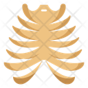 پیش‌نمایش فایل rib-cage-10642326 از پک کالبدشناسی انسان