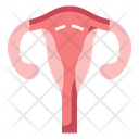 پیش‌نمایش فایل womb-10642329 از پک کالبدشناسی انسان