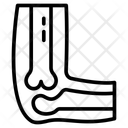 پیش‌نمایش فایل articulation-10642114 از پک کالبدشناسی انسان