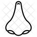 پیش‌نمایش فایل olfactory-organ-10642103 از پک کالبدشناسی انسان