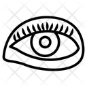 پیش‌نمایش فایل visual-organ-10642111 از پک کالبدشناسی انسان