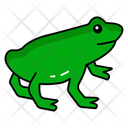 پیش‌نمایش فایل amphibian-diversity-10734144 از پک حیوانات