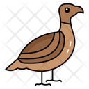 پیش‌نمایش فایل ground-dwelling-birds-10734154 از پک حیوانات