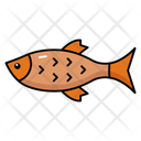پیش‌نمایش فایل saltwater-species-10734161 از پک حیوانات