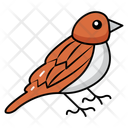 پیش‌نمایش فایل small-songbirds-10734163 از پک حیوانات