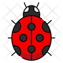 پیش‌نمایش فایل ladybird-11208341 از پک فصل بهار