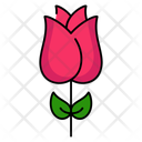 پیش‌نمایش فایل rose-11208345 از پک فصل بهار