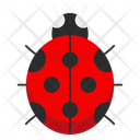 پیش‌نمایش فایل ladybird-11208393 از پک فصل بهار