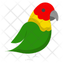 پیش‌نمایش فایل parrot-11208395 از پک فصل بهار