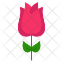 پیش‌نمایش فایل rose-11208372 از پک فصل بهار