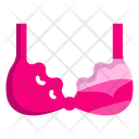 پیش‌نمایش فایل nursing-bra-12065577 از پک مراقبت از نوزاد