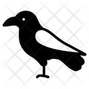 پیش‌نمایش فایل corax-3238607 از پک پرنده