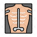 پیش‌نمایش فایل xray-2186967 از پک پزشکی و بیمارستان