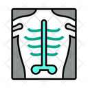 پیش‌نمایش فایل xray-3099320 از پک پزشکی و بیمارستان