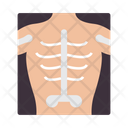 پیش‌نمایش فایل xray-3099220 از پک پزشکی و بیمارستان