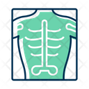 پیش‌نمایش فایل xray-3099370 از پک پزشکی و بیمارستان