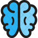 پیش‌نمایش فایل brain-1 از پک ستارتو، بخش ۲