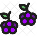 پیش‌نمایش فایل blackberries از پک میوه‌ها