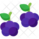 پیش‌نمایش فایل blackberries-1 از پک میوه‌ها