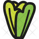پیش‌نمایش فایل lettuce از پک سبزیجات