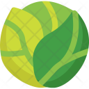 پیش‌نمایش فایل cabbage-1 از پک سبزیجات