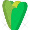 پیش‌نمایش فایل lettuce-1 از پک سبزیجات