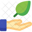 پیش‌نمایش فایل leave-1 از پک محیط‌زیست ۳