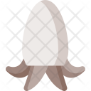 پیش‌نمایش فایل cuttlefish از پک غذاها خام