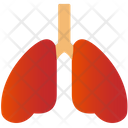 پیش‌نمایش فایل lungs-1741383 از پک پزشکی