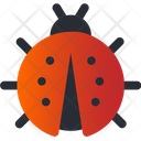 پیش‌نمایش فایل insect-3468727 از پک بهار