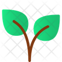 پیش‌نمایش فایل leaf-3468757 از پک بهار