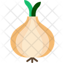 پیش‌نمایش فایل onion-3468752 از پک بهار