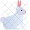 پیش‌نمایش فایل rabbit-3468773 از پک بهار
