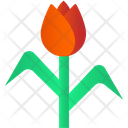 پیش‌نمایش فایل rose-flower-3468748 از پک بهار