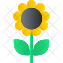پیش‌نمایش فایل sunflower-3468749 از پک بهار
