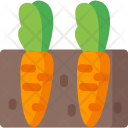 پیش‌نمایش فایل carrots-23 از پک باغبانی