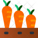 پیش‌نمایش فایل carrot-basket-3636111 از پک باغبانی
